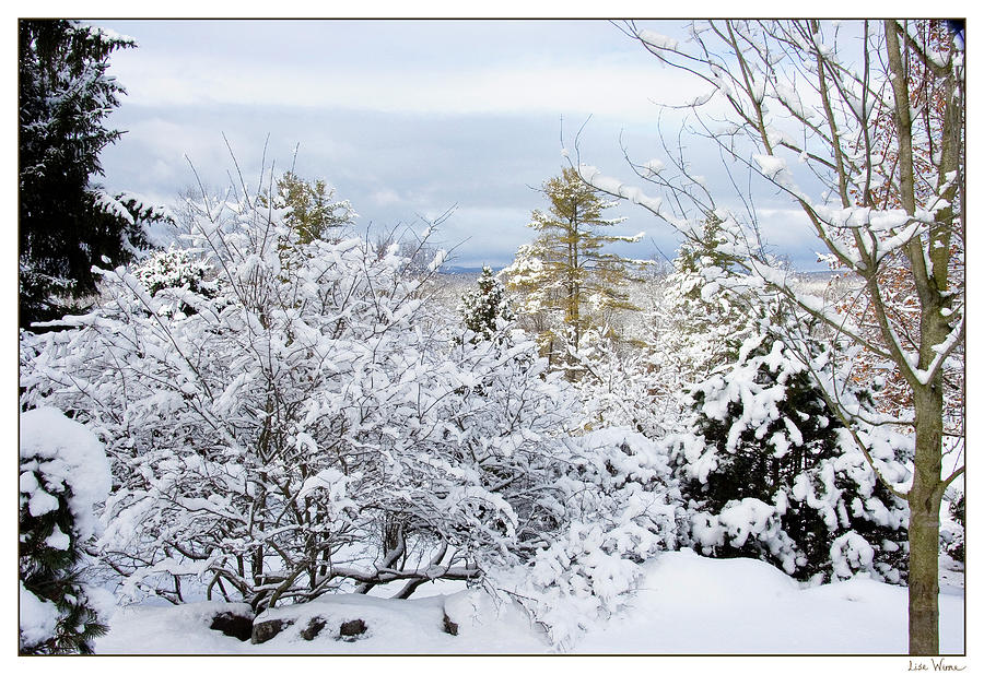 Saratoga Winter Scene Photograph by Lise Winne