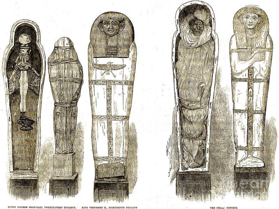 Sarcophagi And Egyptian Mummies Photograph by Wellcome Images