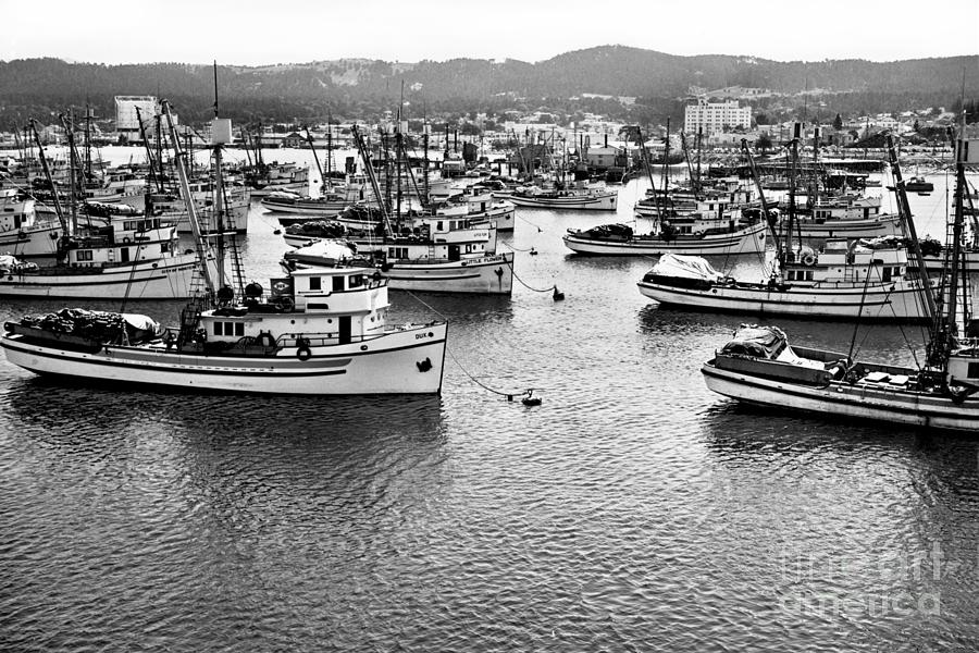 Boat Photograph - Sardine purse seiners Fishing Fleet At Anchor, Monterey Bay Aug. 1946 by Monterey County Historical Society