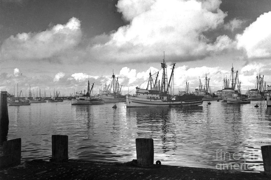Black And White Photograph - Sardine purse seiners Fishing Fleet At Anchor, Monterey Bay circa 1940 by Monterey County Historical Society