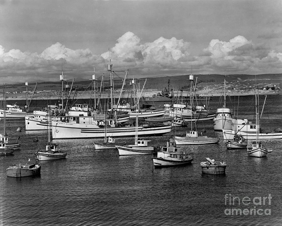 Boat Photograph - Sardine purse seiners Fishing Fleet At Anchor, Monterey Bay circa 1945 by Monterey County Historical Society