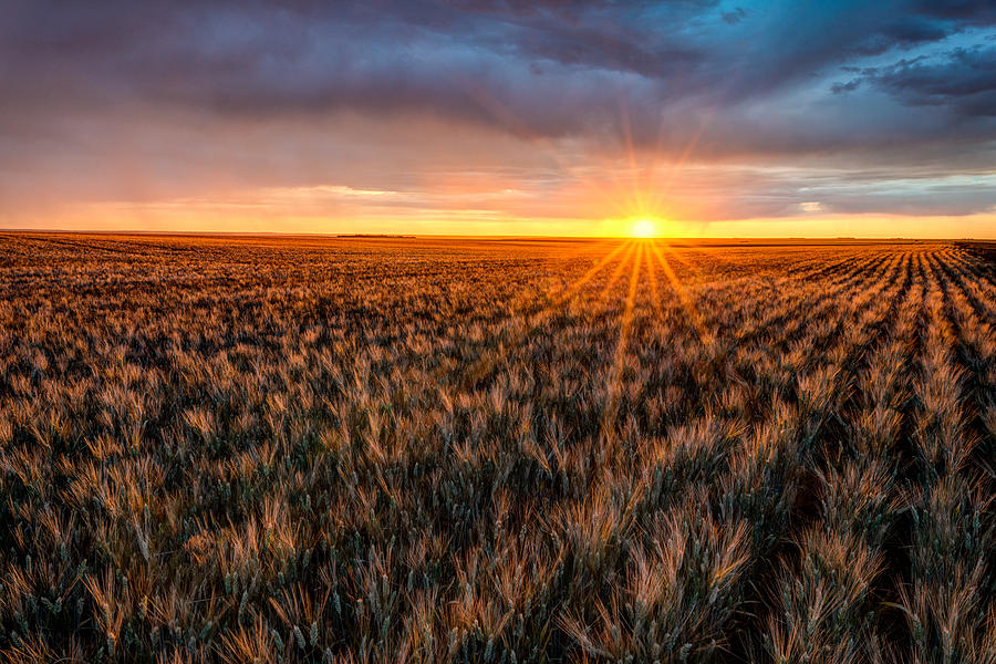 Saskatchewan Sunrise Photograph by Matt Hammerstein