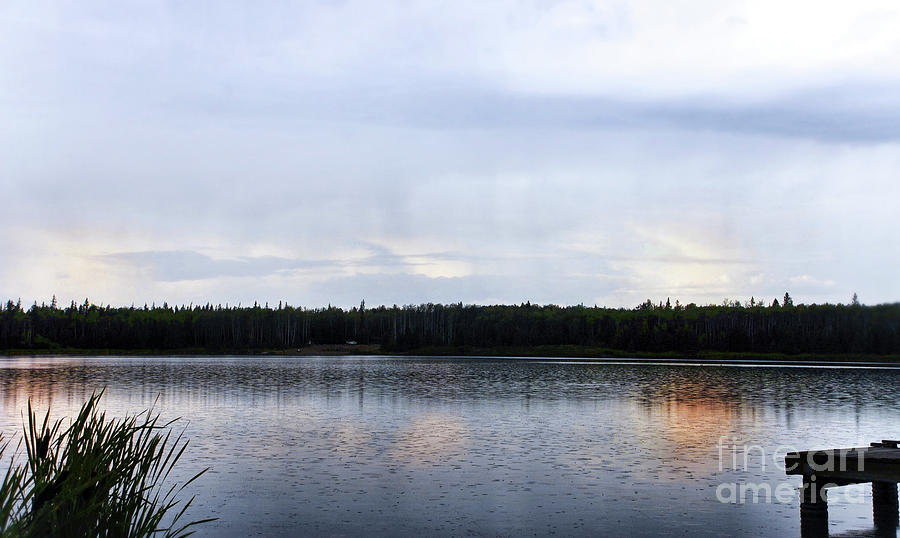 Saskatoon Lake Alberta Photograph by Elaine Manley