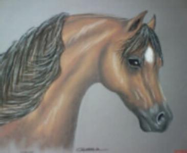 Horse Painting - Sassy by Diana Cochran