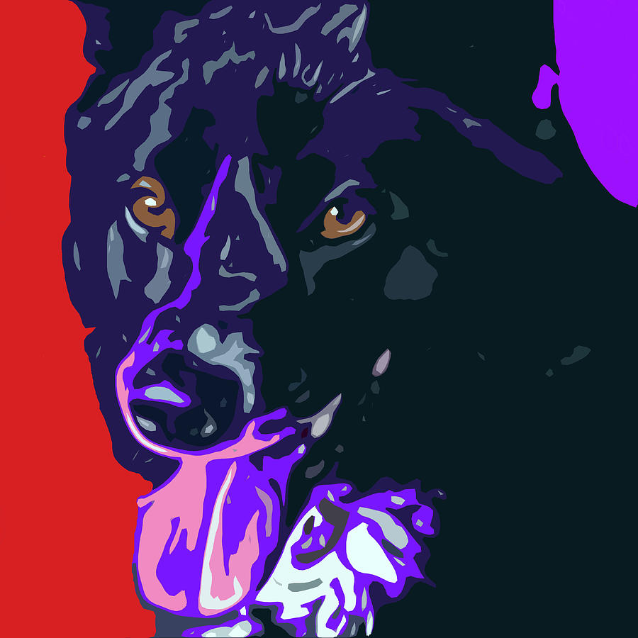 Sassy Pup Digital Art by David G Paul