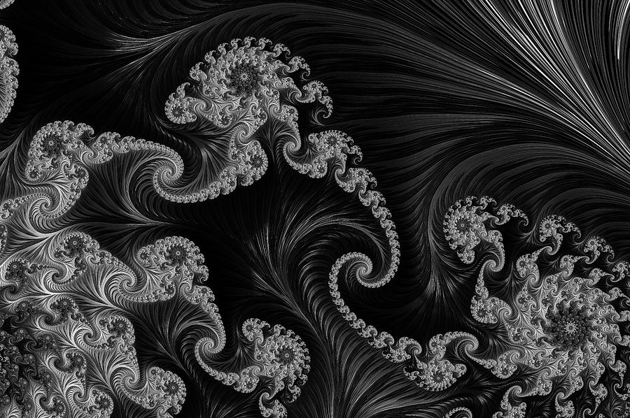 Beauty Digital Art - Satin And Lace Worn With Grace Black And White by Georgiana Romanovna