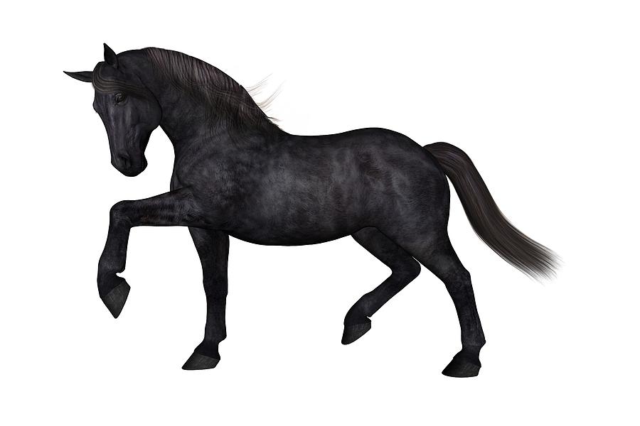 Horse Digital Art - Satin by Betsy Knapp