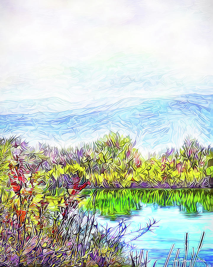 Landscape Digital Art - Satin Mist Over Lake - Boulder County Colorado by Joel Bruce Wallach