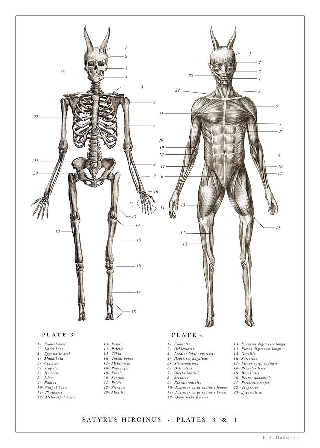 Dr. Black. The Resurrectionist Drawing - Satyr Print 3, 4.., by EB Hudspeth Dr. Black. The Resurrectionist Drawing - Satyr Print 3, 4.., by EB Hudspeth