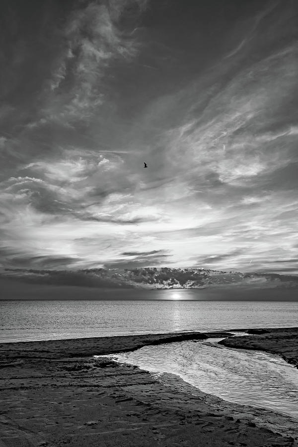 Sauble Beach Sunset 6 bw Photograph by Steve Harrington