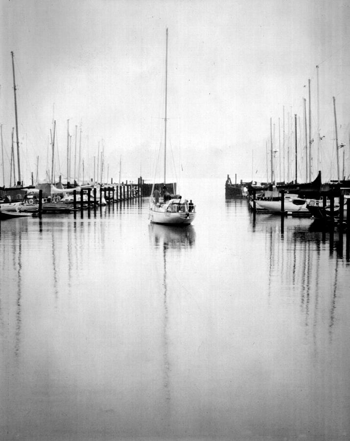 Saucillito by Glenn Grossman Saucillito by Glenn Grossman