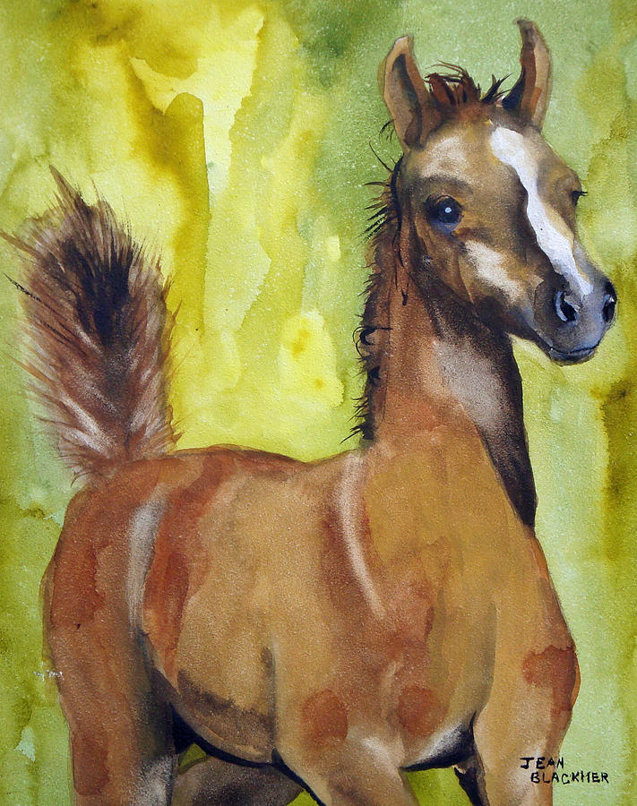 Filly Painting - Saucy by Jean Blackmer Filly Painting - Saucy by Jean Blackmer