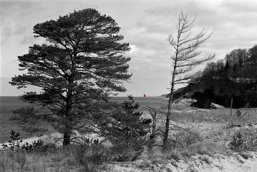 Saugatuck State Park in November Photograph by Kris Rasmusson