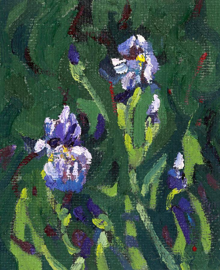 Saugeen Hillside Wild Iris Painting by Phil Chadwick