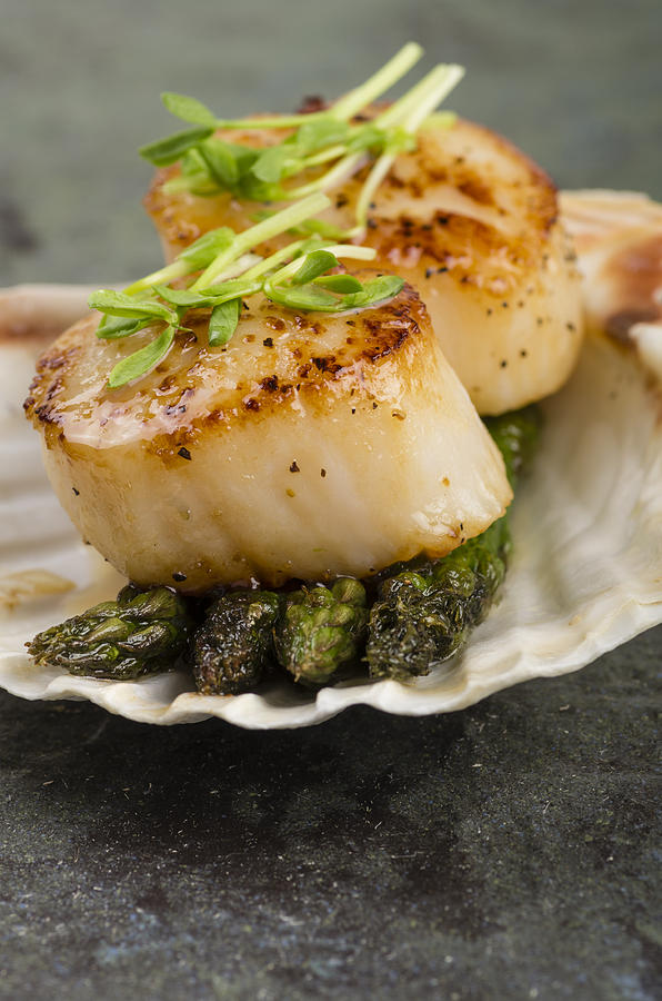 Sauteed scallops on the shell with asparagus Photograph by John Trax