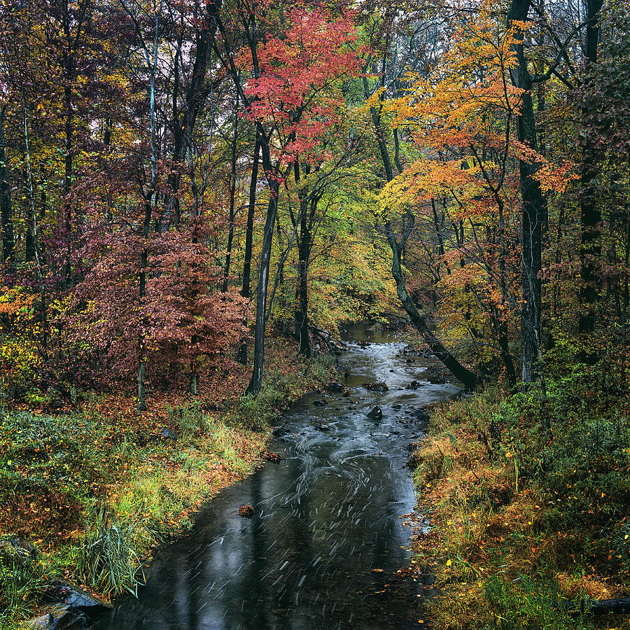 Savage Creek Photograph by Robert Fawcett
