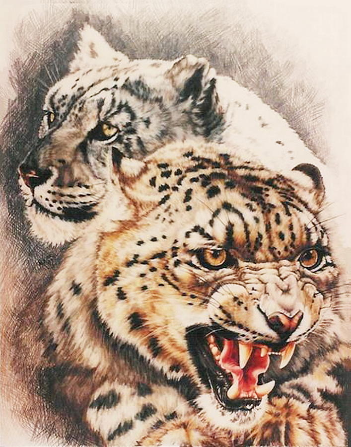 Wildlife Drawing - Savage Perfection by Barbara Keith