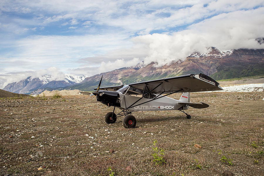 Savage Shock Cub Photograph by Fred Denner
