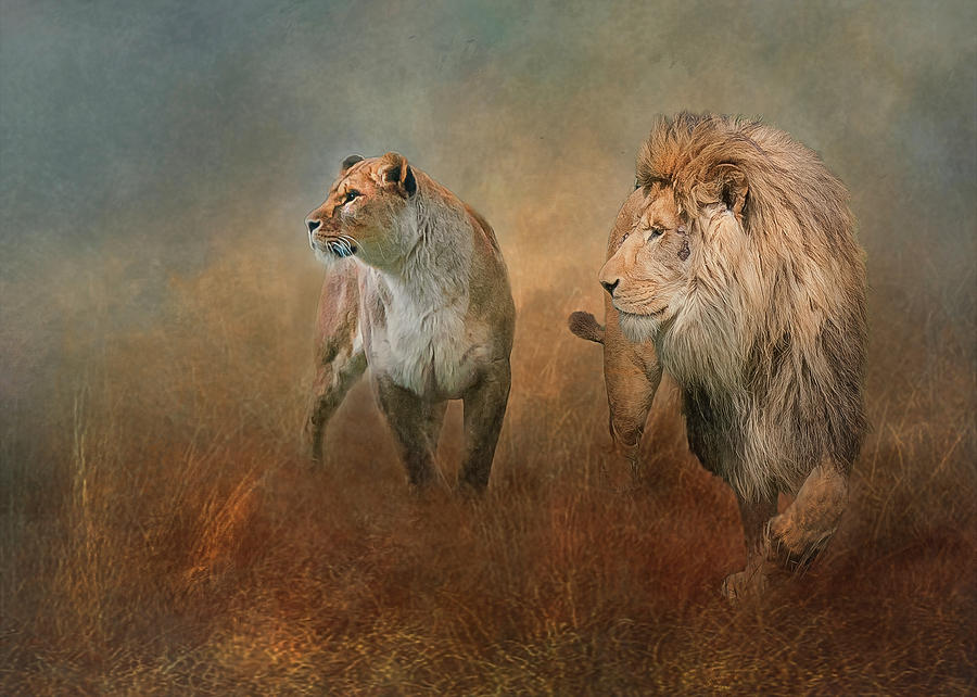 Savanna Lions Photograph by Brian Tarr