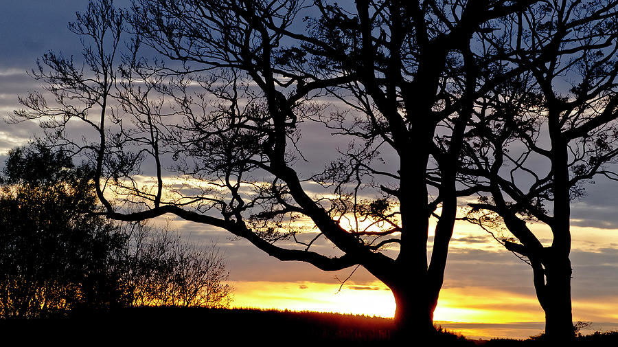 Savanna sunset in Scottish vale Photograph by Elena Perelman