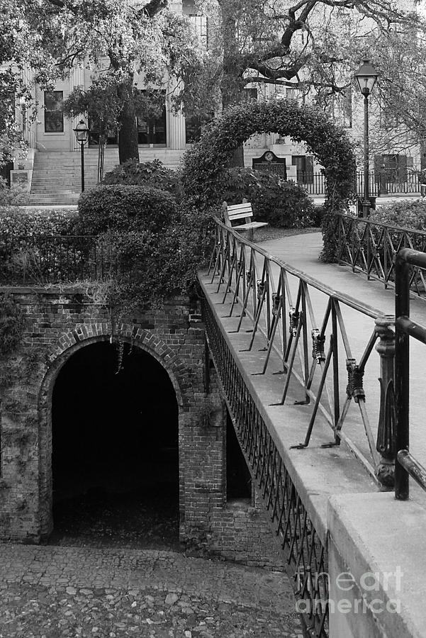 Savannah Archways - Black and White Photograph by Carol Groenen