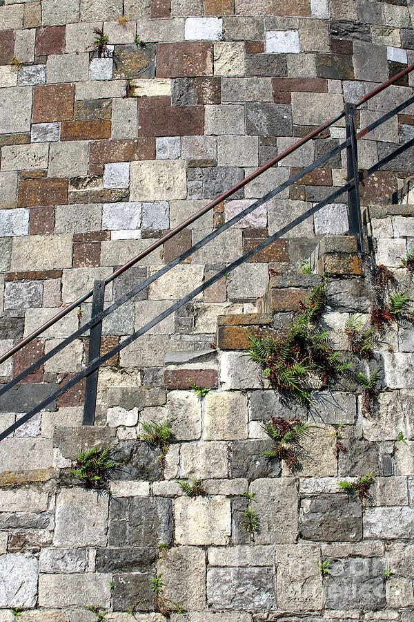 Savannah Block Wall Vertical Photograph by Carol Groenen