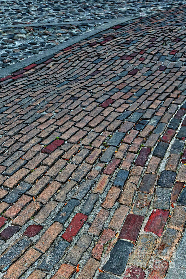 Savannah Brick Walkway Photograph by Carol Groenen
