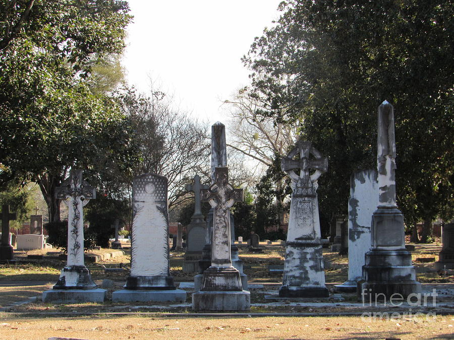Southern Cemetery Photograph by Cindy Fleener