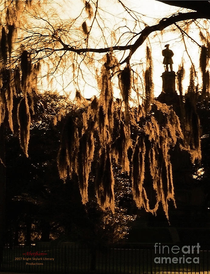 Savannah Confederate Moss Sunset Photograph by Aberjhanis Official Postered Chromatic Poetics