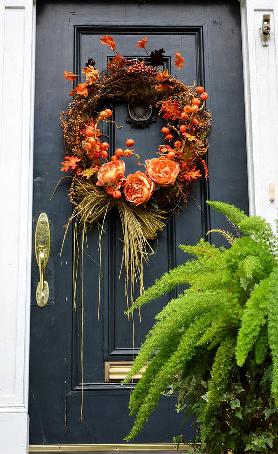 Savannah Doorway In Fall Photograph