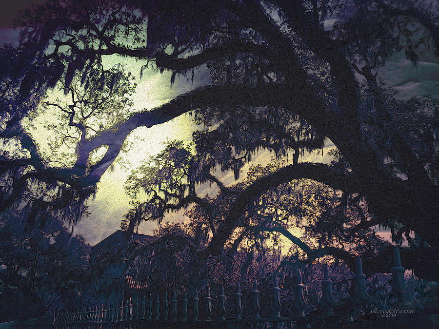 Savannah GA Spanish Moss Photograph by Ericamaxine Price