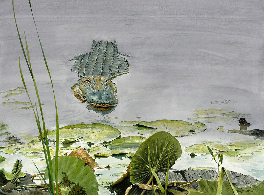 Alligator Painting - Savannah Gator by Tom Hedderich