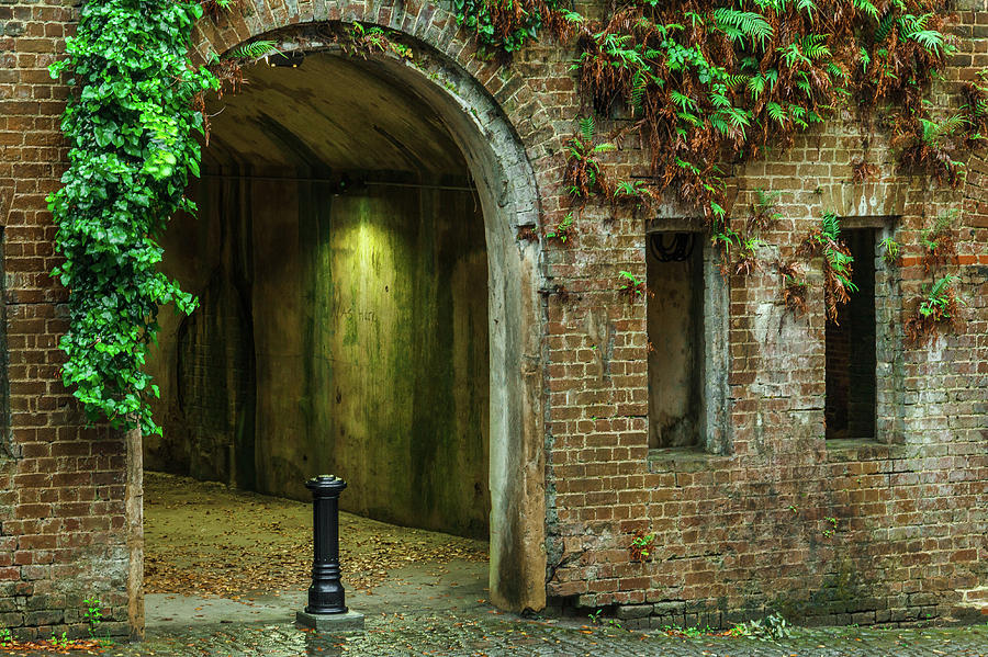 Savannah Haunted Tunnels Photograph by Steven Bateson