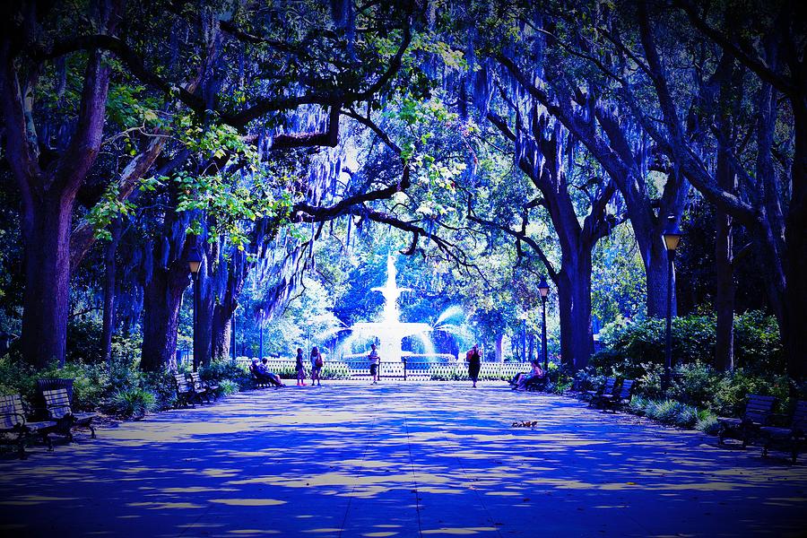 Savannah in Spring - Artistic Effects Photograph by Mark Mitchell