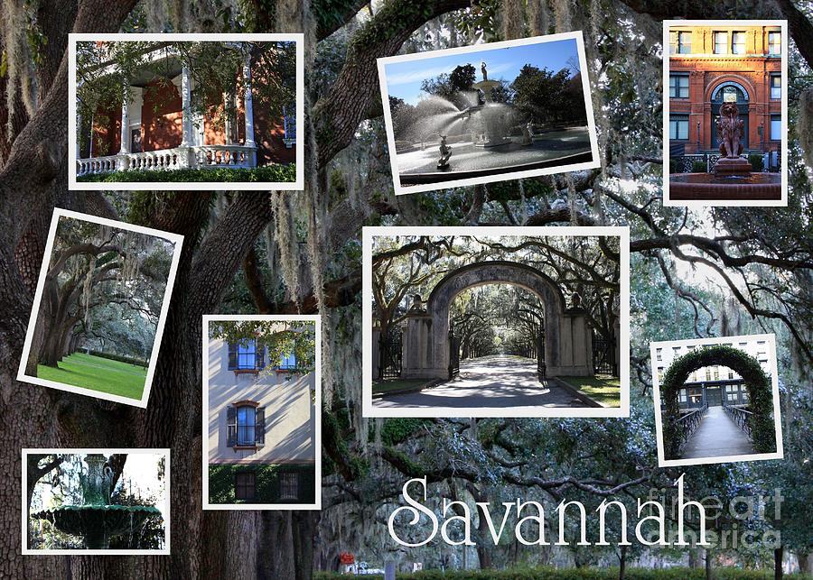 Savannah Scenes Collage Photograph by Carol Groenen