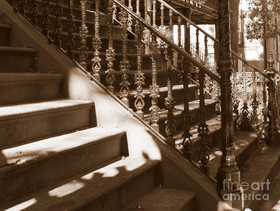 Savannah Sepia - Stairs Photograph by Carol Groenen