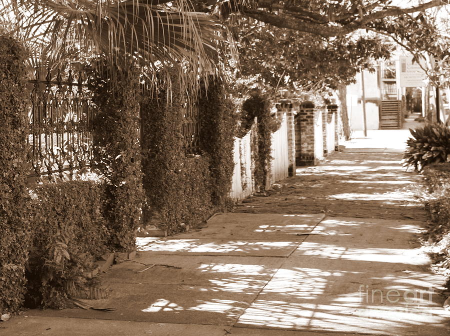 Savannah Sepia - Sunny Sidewalk Photograph by Carol Groenen