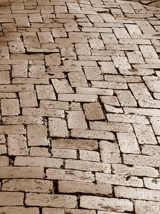 Savannah Sepia - Brick Walkway Photograph by Carol Groenen
