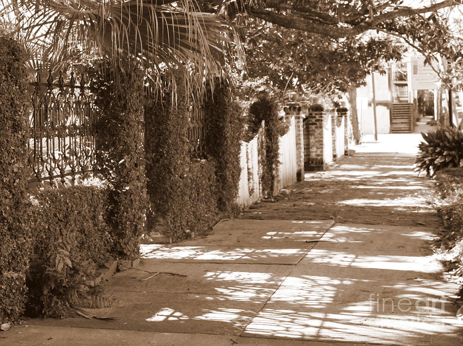 Savannah Sepia - Shadowed Sidewalk Photograph by Carol Groenen