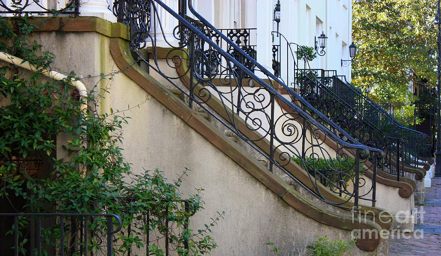 Savannah Stairs Photograph by Carol Groenen