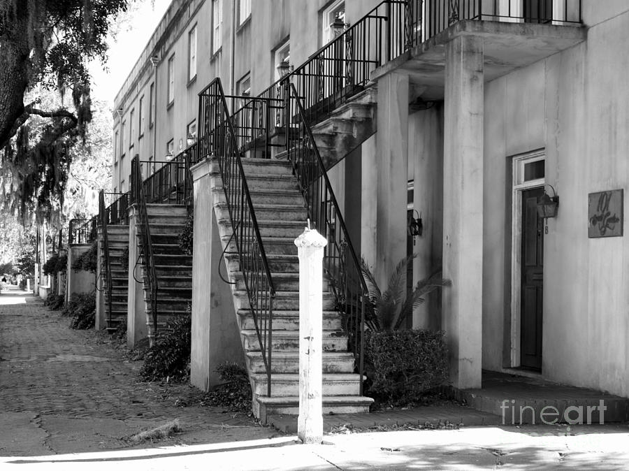 Savannah Steps Black and White Photograph by Carol Groenen