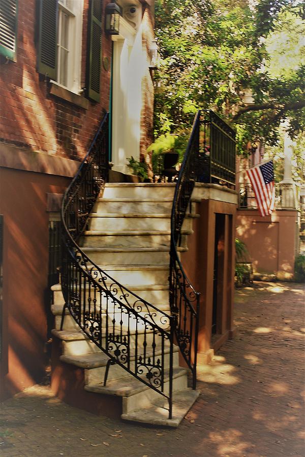 Savannah Steps Photograph by Michael Cressy