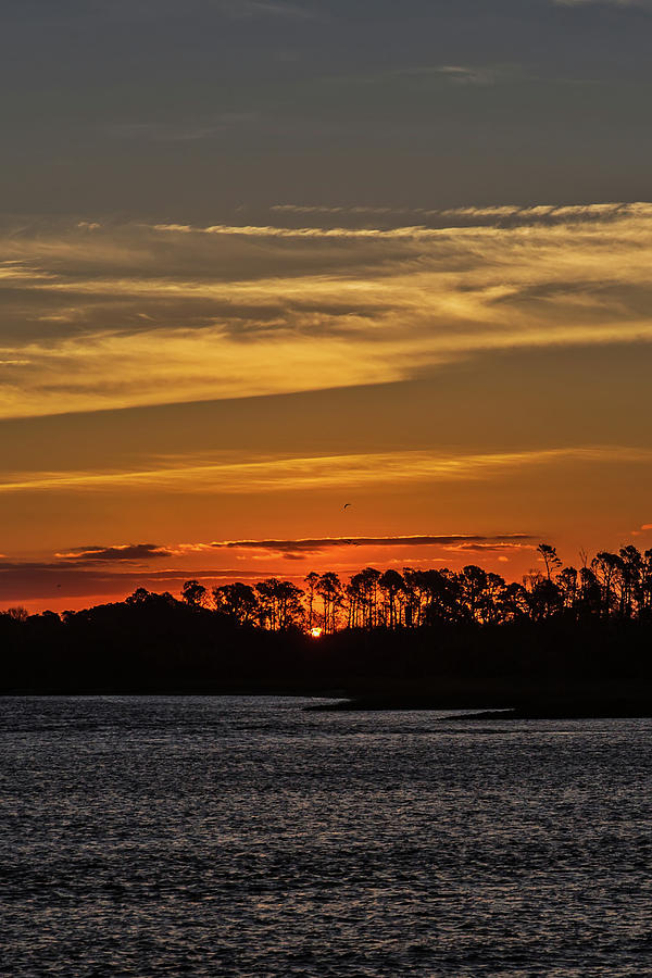 Savannah Sunrise Photograph by John Haldane