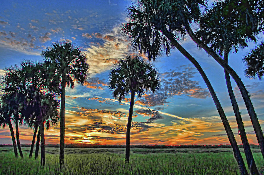 Savannah Sunset - Myakka River State Park Photograph by HH Photography of Florida