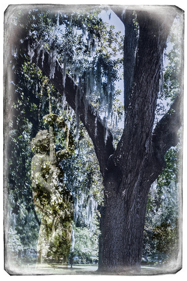 Savannah Tree And Statue 1118 Photograph