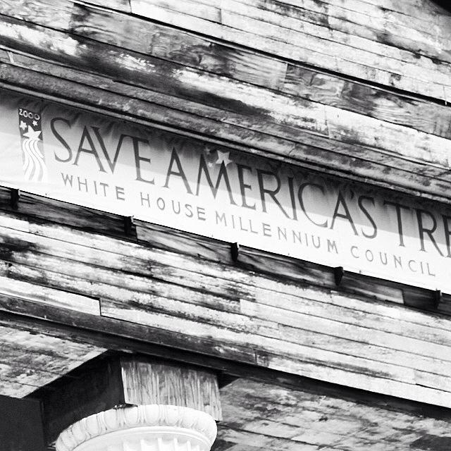 Save America's Treasures Photograph by Victory Designs Fine Art America