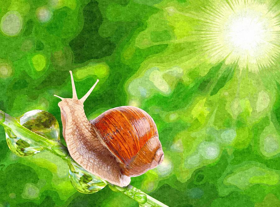 Save by the Snail by MJ Arts Collection