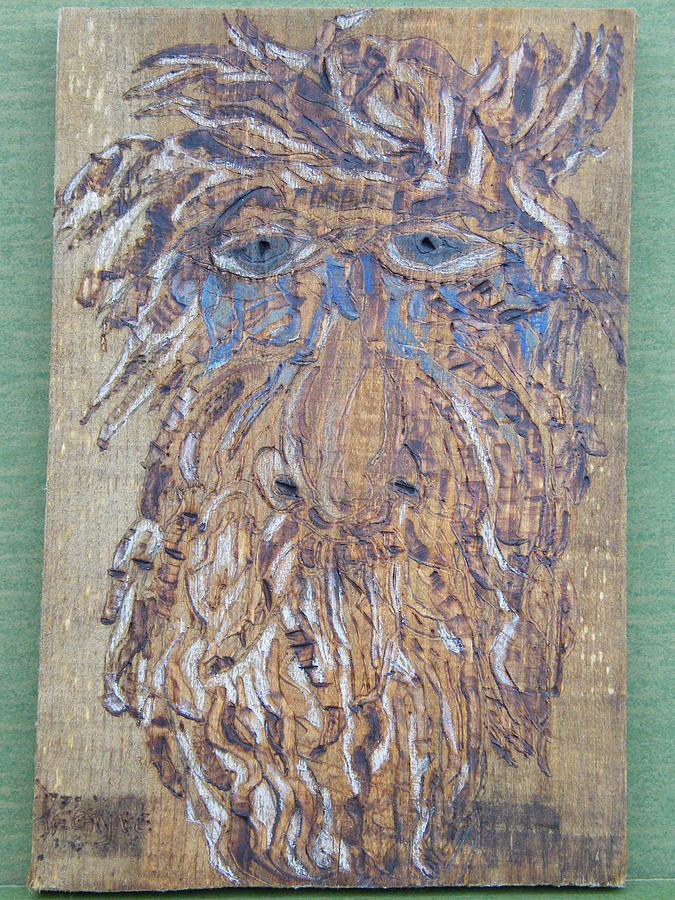 Woodburn Pyrography - Save My Trees by Margaret G Calenda
