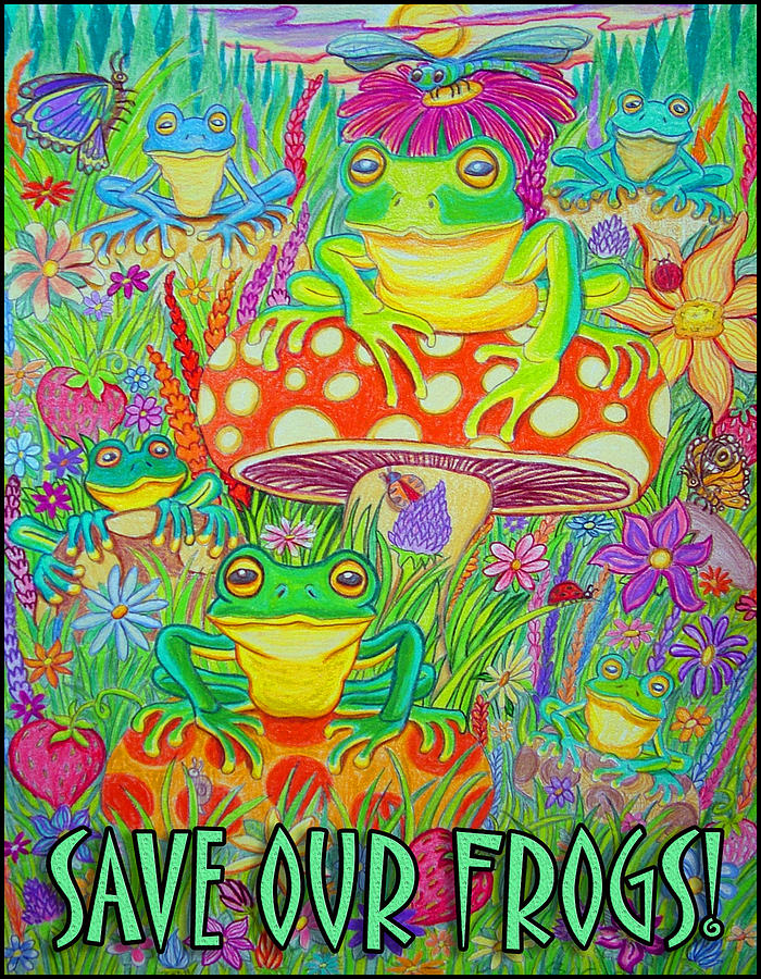 Frog Drawing - Save Our Frogs by Nick Gustafson