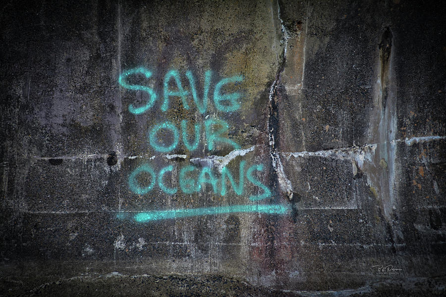Save Our Oceans Photograph by Bill Posner